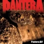 Pantera 10 s