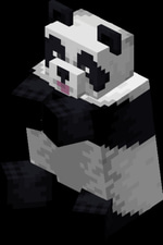 Panda - Pant 1