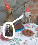 HEY OYE VENECO MIRA ESTE ES EL NUEVO META 2K