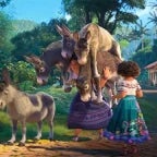 Donkey's Got Out Again