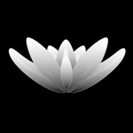 Jocko Willink Jack Carr