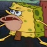 you just blow in from stupid town