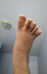 Among Us (Role Reveal) Sound Effect (HD) (1)