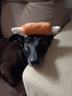 Grupo parado da miseria - Sound