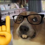 WEEDMANE x Suicideyear SUICIDE YEAR