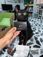 7 weeks and 3 days luigi version looped