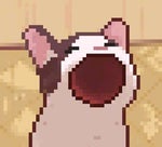 Nah imma do my own thing