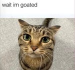 Woah - Sound