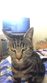 aughhhhhhhhhhhhhhhhhh (320 kbps) - Sound