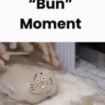 im a bun slowed+reverbed