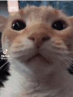 My Mistake Original Gangster