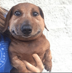 เวฟ110iลก530กลองเดมรเเมพเสยงรอบตดหวานๆ - Sound