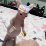 edging my snoring (feature length) (copy)