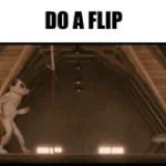Do a flip!