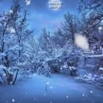 Colinda Sub fereastra la om bun