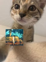 Cut my hair - Mounika