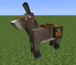 Donkey - Hurt