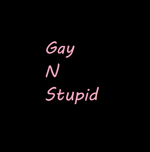 gaynstupid