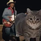 die with a smile o ii a