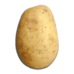 New Super Mario Bros