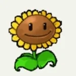 sonneblume