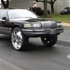 I AM IN A WRLD OF DONK!