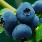 metal pipe falling sound effect