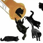 MUFFIN (the best song ever)