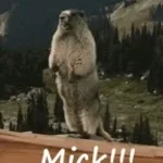 mix_k