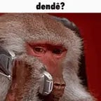 RENEGADOS EU AMO MAMACO