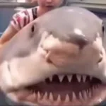 STERLING MADE A SDINKY