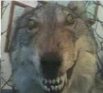 Banned! Oreo Commercial