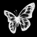 Young Black & Rich clean