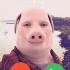 john pork is calling...