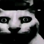 when im with you meme