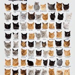 the 60 cats I have on mine
