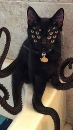 william afton punch 1