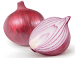 Onion