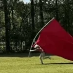 red flag