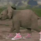 TCHINIS Regardez ma grosse ...