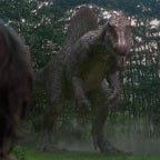 Spino Can I get a mc griddle?