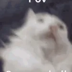 uhh i like girls and i like them sucking my balls