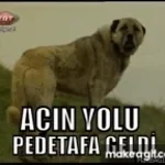 sen sivasın yollarına