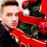 mr tree phase 100000