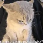 Recording 08/31/25 15:09:49