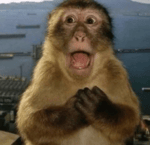 Italian Brainrot Rap