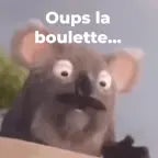 oups la boulette