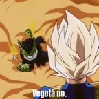 Vegeta no