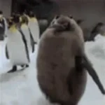 Emperor Penguin 1