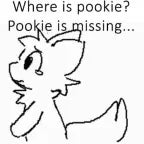 Pookie is missing